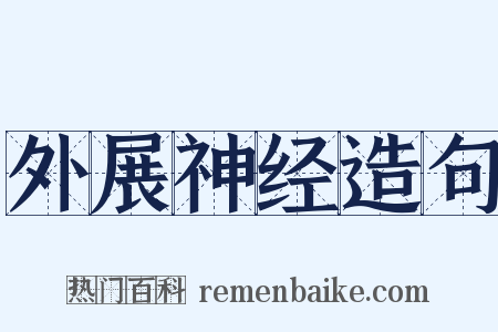 外展神经造句是什么意思的图片